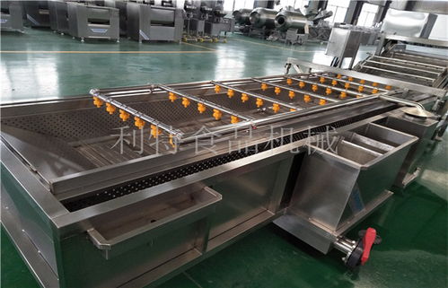 青蘿卜清洗設備規(guī)格品質 諸城市利特食品機械