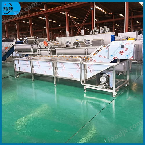氣泡洗袋機 食品外包裝清洗設備 凈菜加工設備
