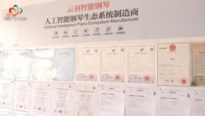 銀發(fā)創(chuàng)業(yè)傳奇 傾盡家產(chǎn)鑄琴魂，兩年破兩億的跨界逆襲