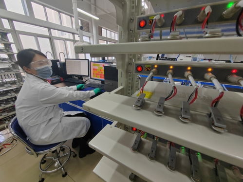 中國首創(chuàng)！洛陽牡丹殼變廢為寶，開啟鈉電池負(fù)極材料新紀(jì)元