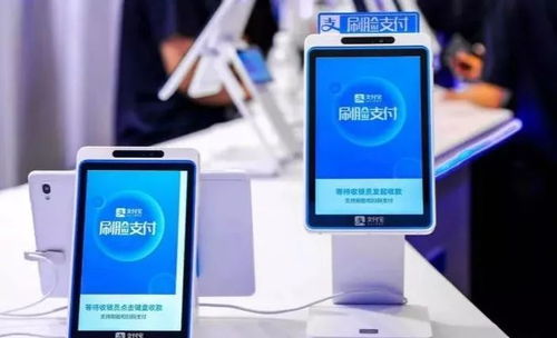 刷臉支付 撬動(dòng)數(shù)字營銷新紀(jì)元與數(shù)碼產(chǎn)業(yè)新增長